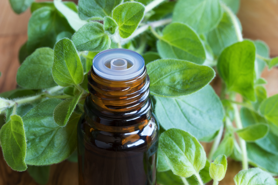 Oregano essential organic oil by Katarat mn Noor 10 ml