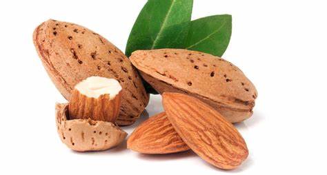 sweet almond organic oil cold pressed from katart mn Noor 100 ml